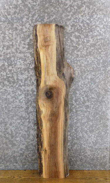 Natural Edge Black Walnut Rustic Accent/Side Table Top Slab 1579